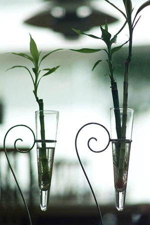 横浜にあるタカラスタンダード横浜ショールームの魅力と詳細情報